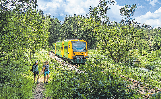 Ausflugstipp: Mit der waldbahn nach Bayerisch Kanada 