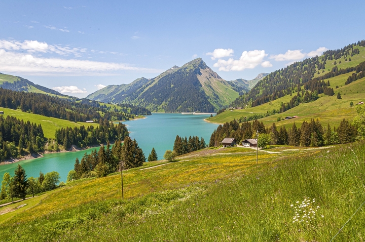 Lernen zwischen Alpen und Kaffeehaus