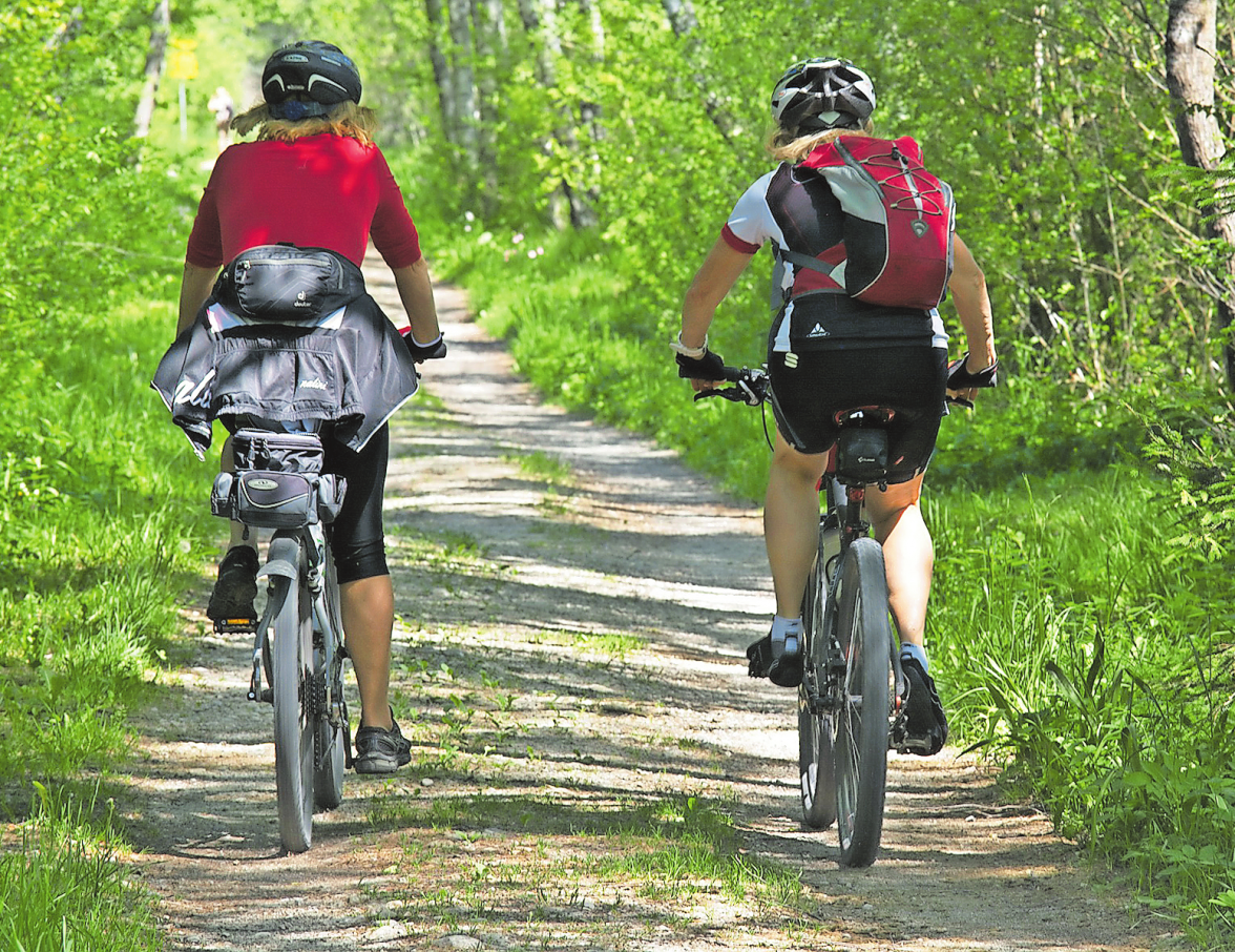 Rechte und Pflichten von Fahrradfahrern: So radelt es sich sicher