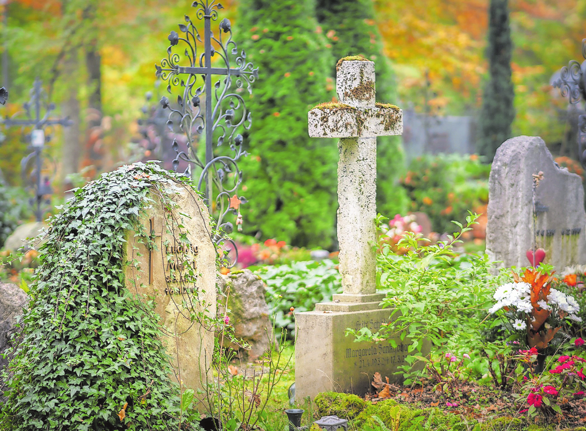 Klimawandel am Friedhof