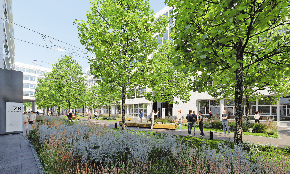 NATUR PUR IM WEISSEN QUARTIER