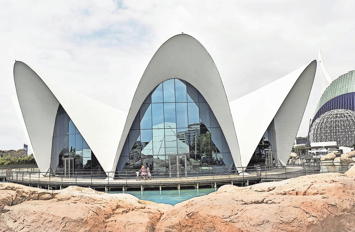 MEISTER DES BETONSCHALENBAUS