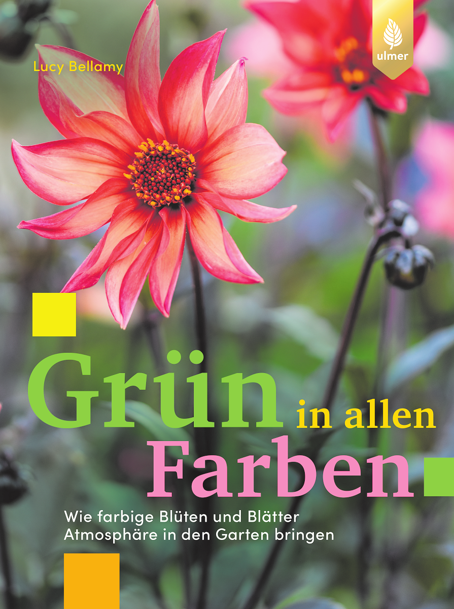 Verführerische Abwechslung