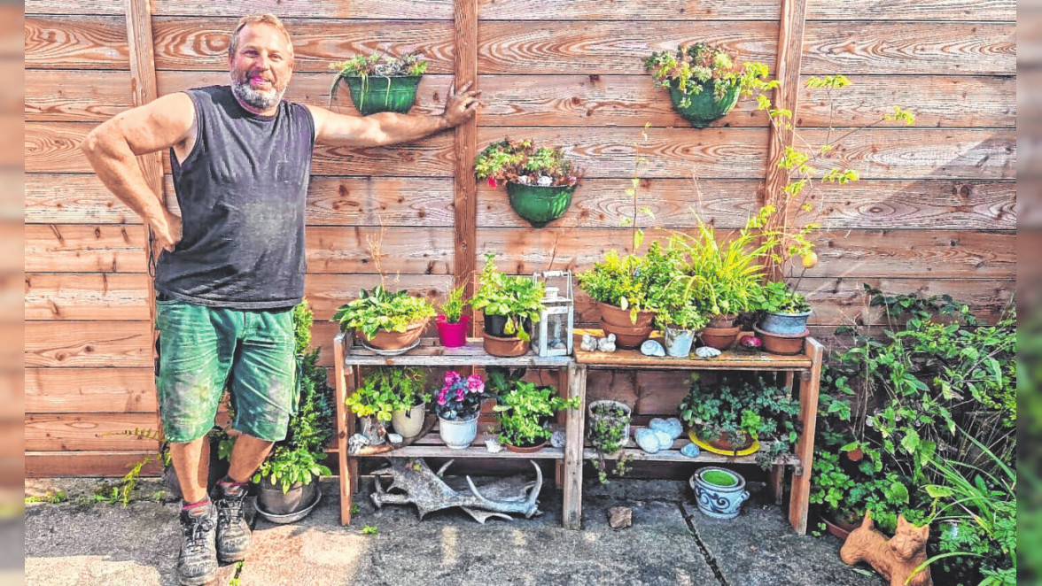wann bonsai dngen Bonsaidnger - Mineralischer NPK Flssigdnger mit Stickstoff