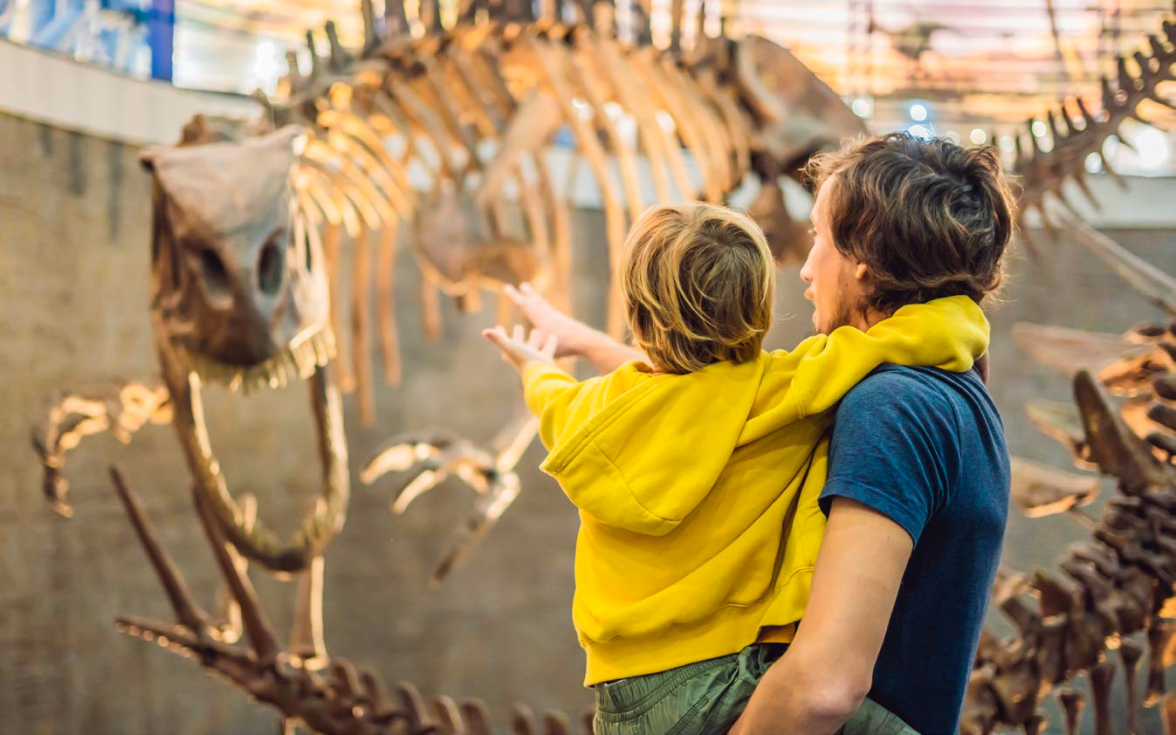 Vielfalt an Museen und Ausstellungen lockt jährlich Millionen Interessierte