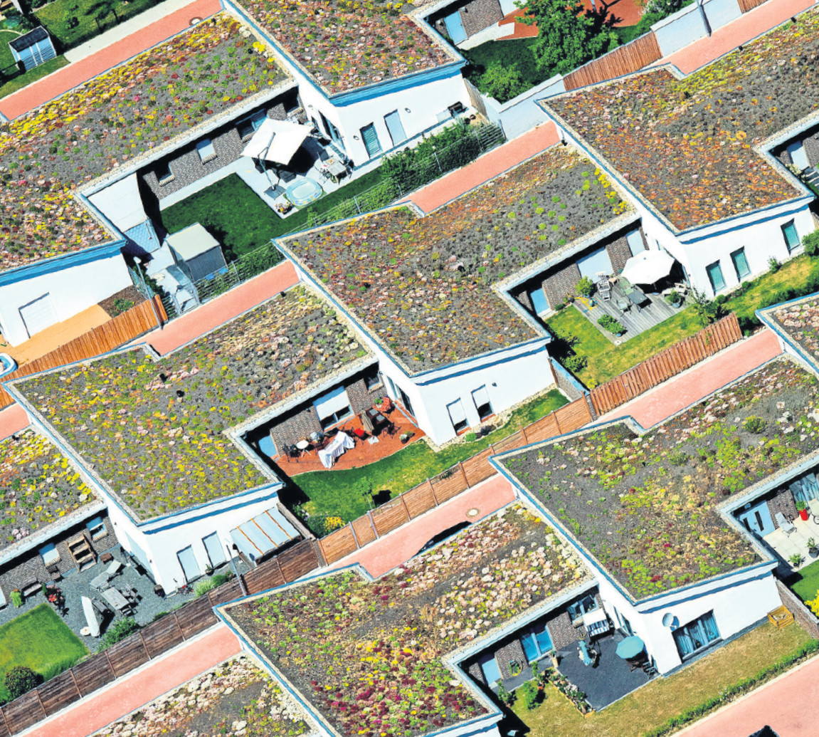 Abwechslung auf dem Dach mit Begrünung