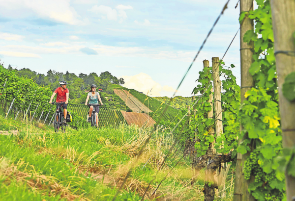 Württemberger Weinradweg: Mit dem Rad durchs Land