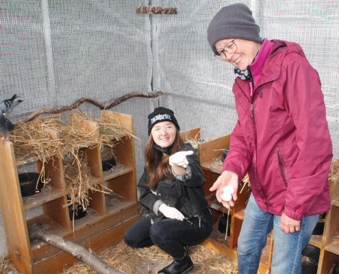 Peiner Tierheim braucht neue Quarantäne