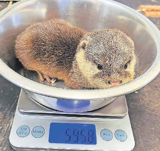 Freizeittipps für den Frühling