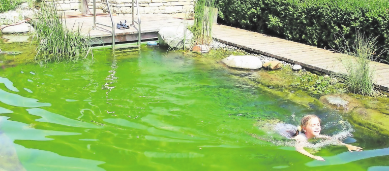 Badespaß im Naturteich