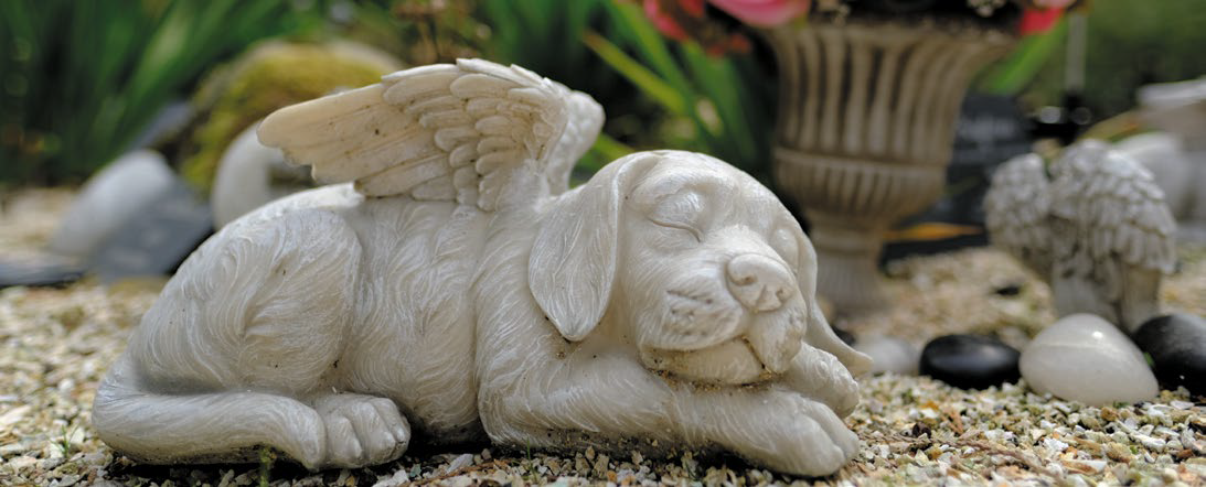 Darf ich mein Haustier im Garten begraben?