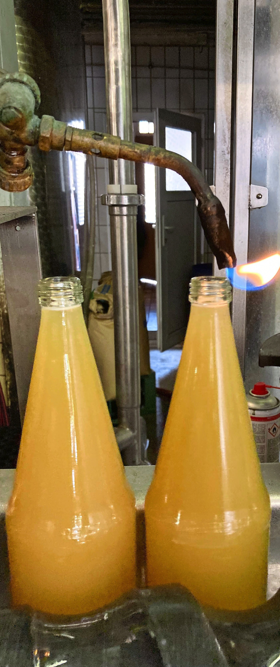 Früchte fürs Fließband