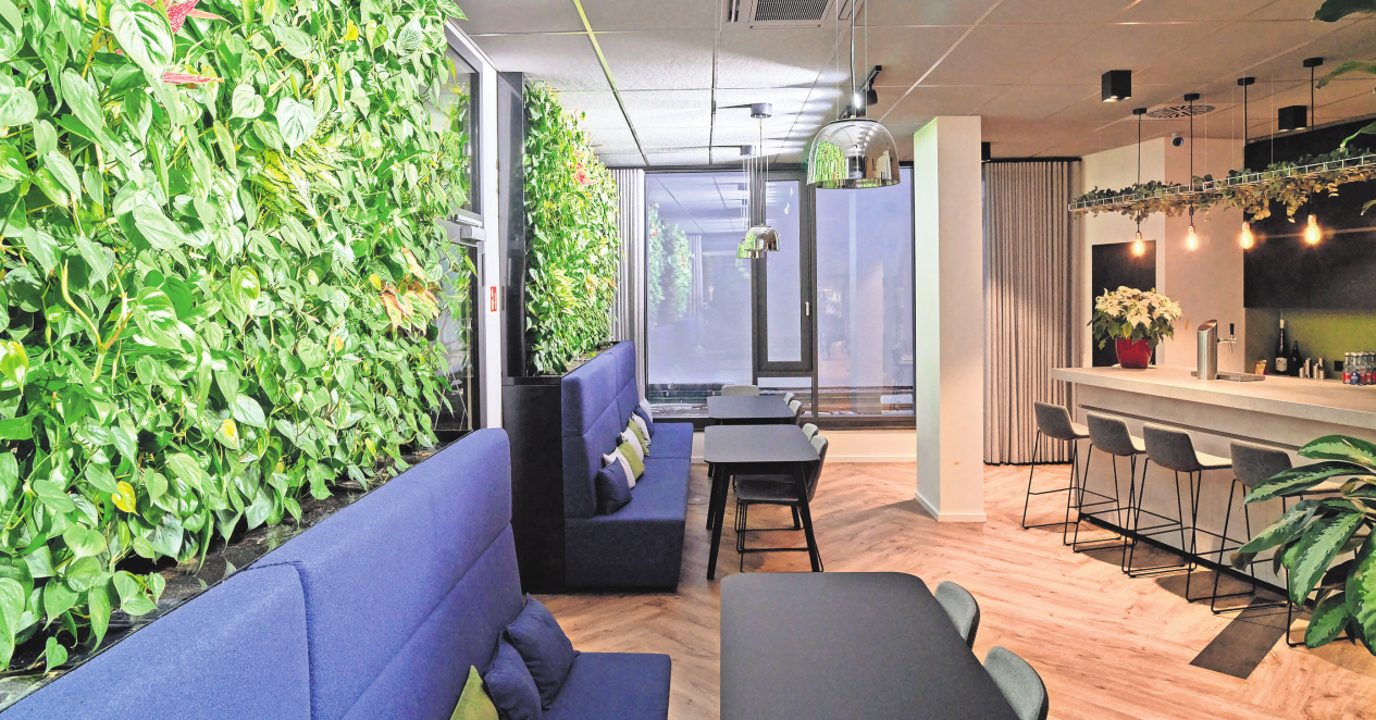 Gärtnerei Ruof: Raumkunst aus der Natur