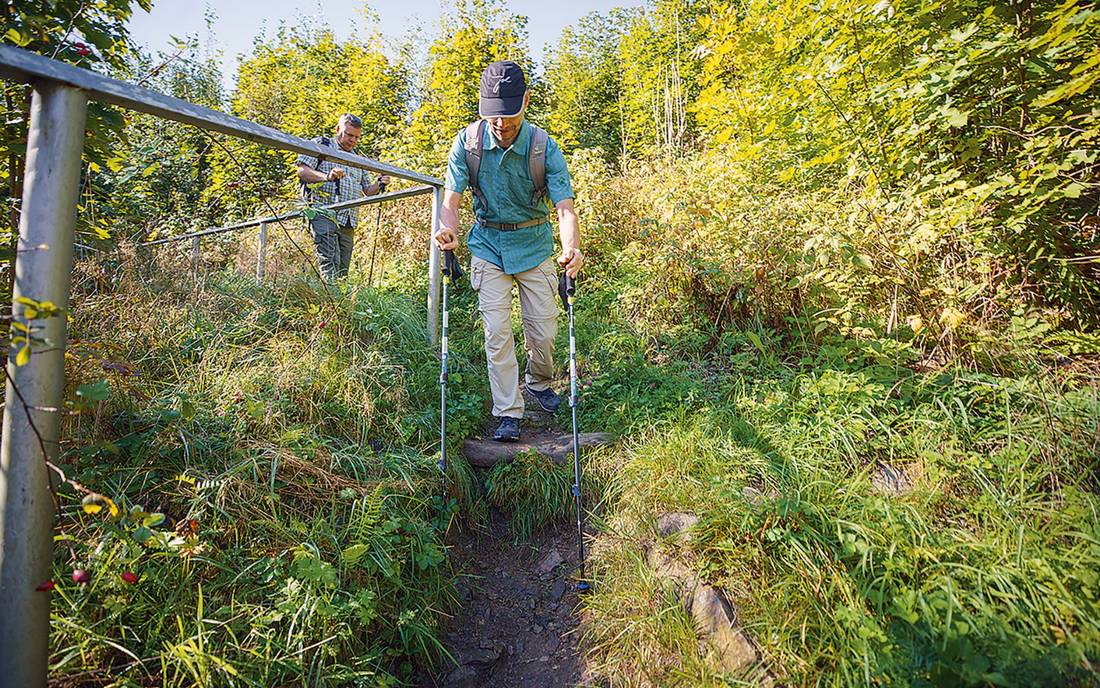 Robust, leicht, zerlegbar: Trekkingstöcke im Test