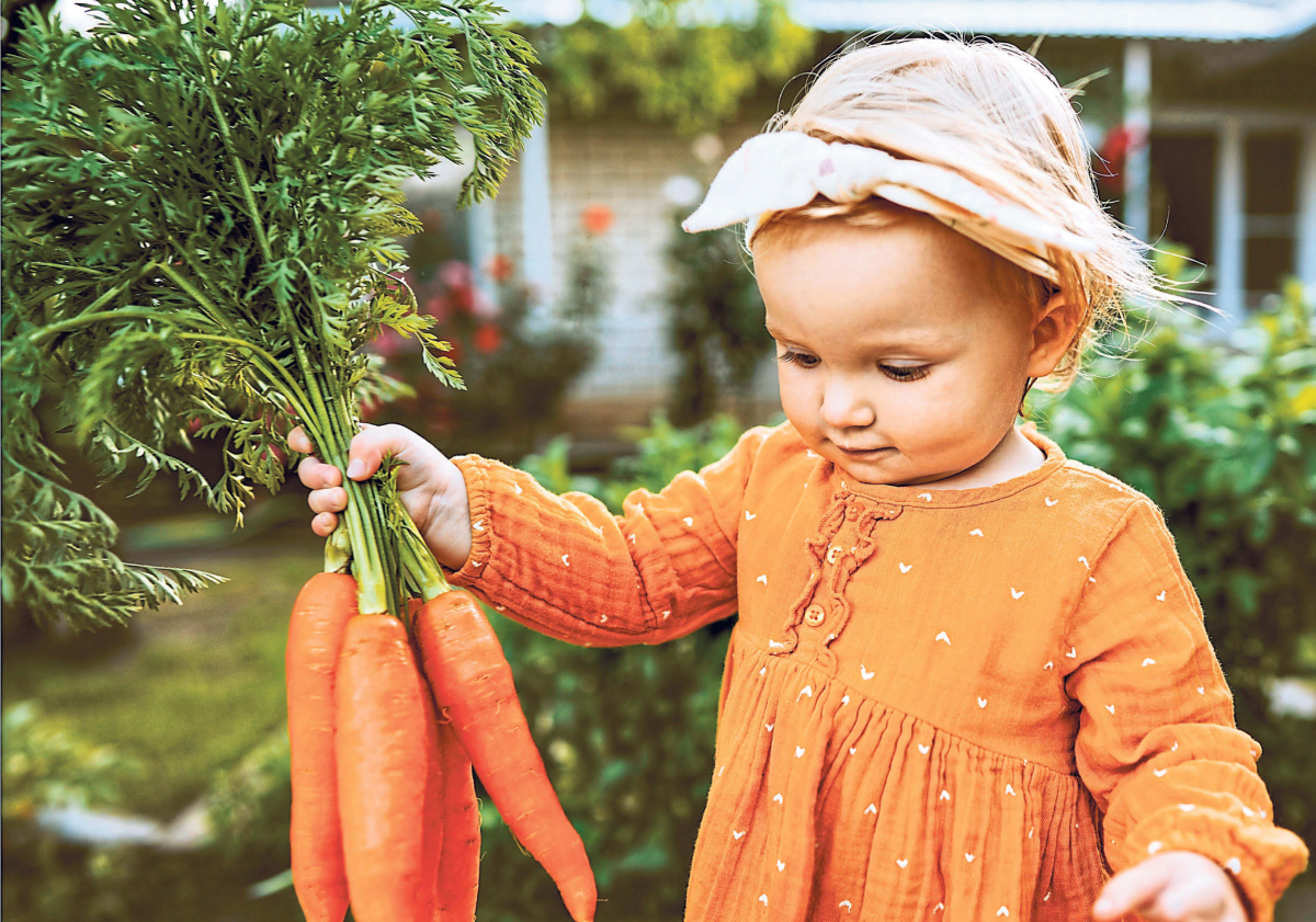 VGH: Versicherungs-Check-up - Wenn gesund durchs Leben, dann gut abgesichert