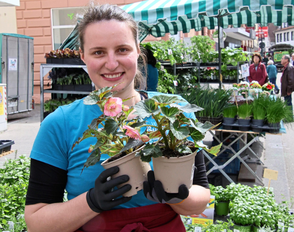 Blumen und Pflanzen, wohin man schaut