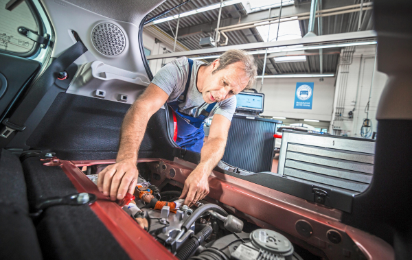 Meisterbetrieb der Kfz-Innung: Frühlingserwachen!