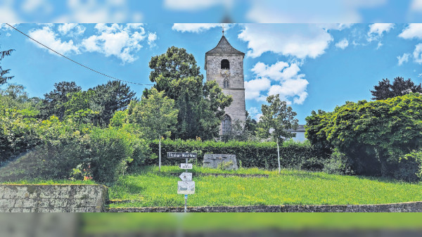 Wangen: Spaziergang zu Trollinger und Muscaris
