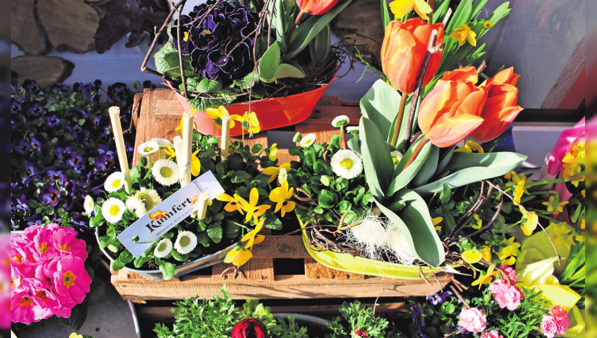 Fachgeschäfte in Untertürkheim: "Blumen sind Emotionen"