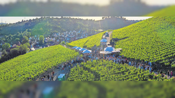 In vino Tourismus