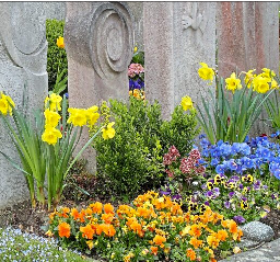 Der Frühling bringt Farbe auf den Friedhof. F.: Joujou, Pixelio