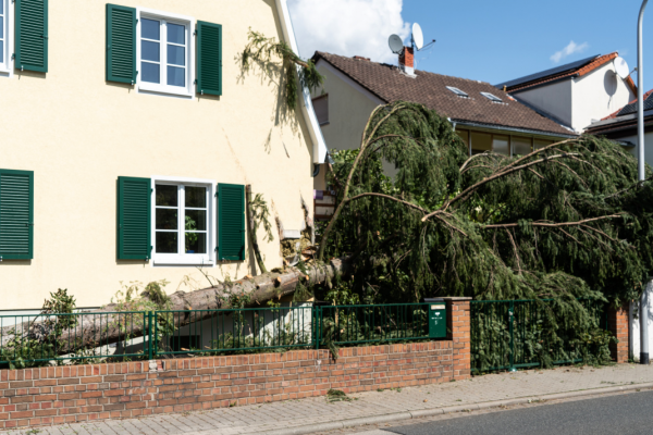 Die Wohngebäudeversicherung zahlt Arbeiten an Haus und Grundstück nach einem Sturm. Foto: Cezanne-Fotografie - stock.adobe.com