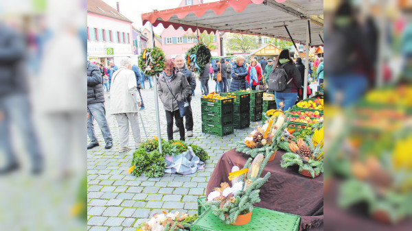 Feuchtwanger Martinimarkt am 5. November: Reges Treiben auf Feuchtwangens Marktplatz