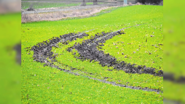 Landwirtschaft 2024: Was bringt die neue Saison für die Landwirte?