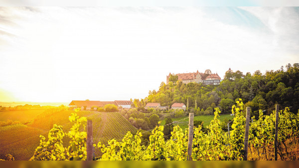 Schloss Frankenberg in Weigenheim - Hotel, Gastronomie und Weingut