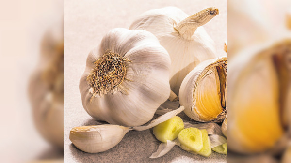 Knoblauch im Herbst stecken