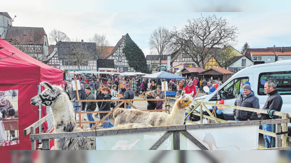 Frühlings- und Viehmarkt in Wettringen