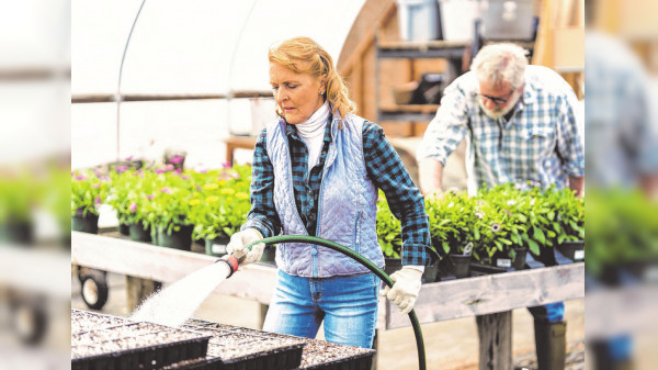 Mit Schwung und vielen Projekten in die neue Gartenzeit starten