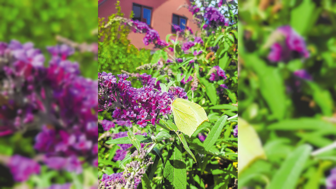 Mit viel Schwung in den Spätsommer und Herbst starten