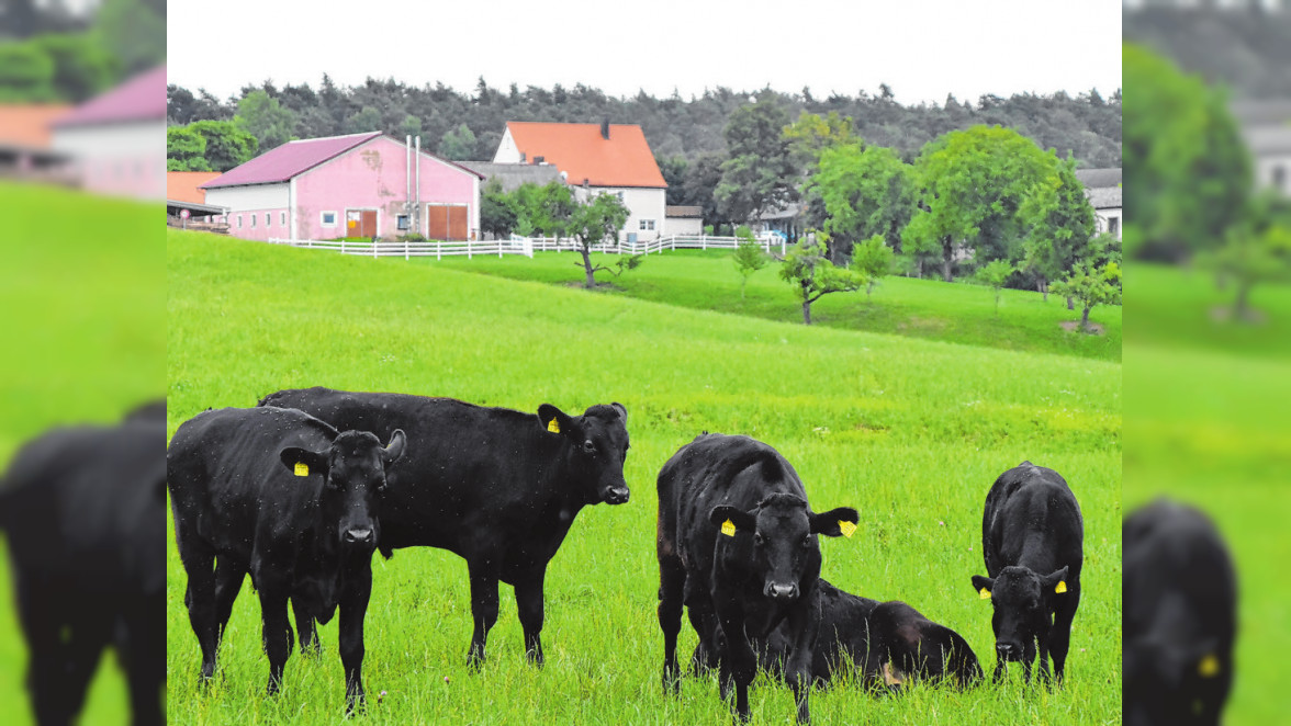 An der Pflichtbrache führt kein Weg vorbei