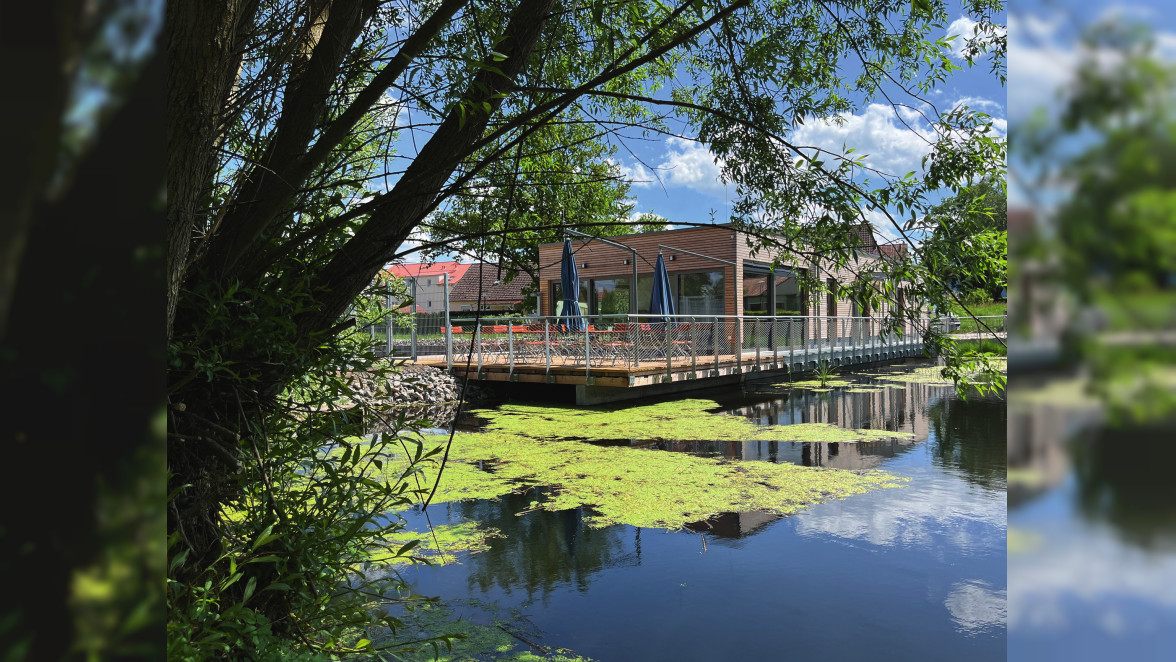 Naturerlebnisbad und Erlebnispark Natur und Teich Dombühl