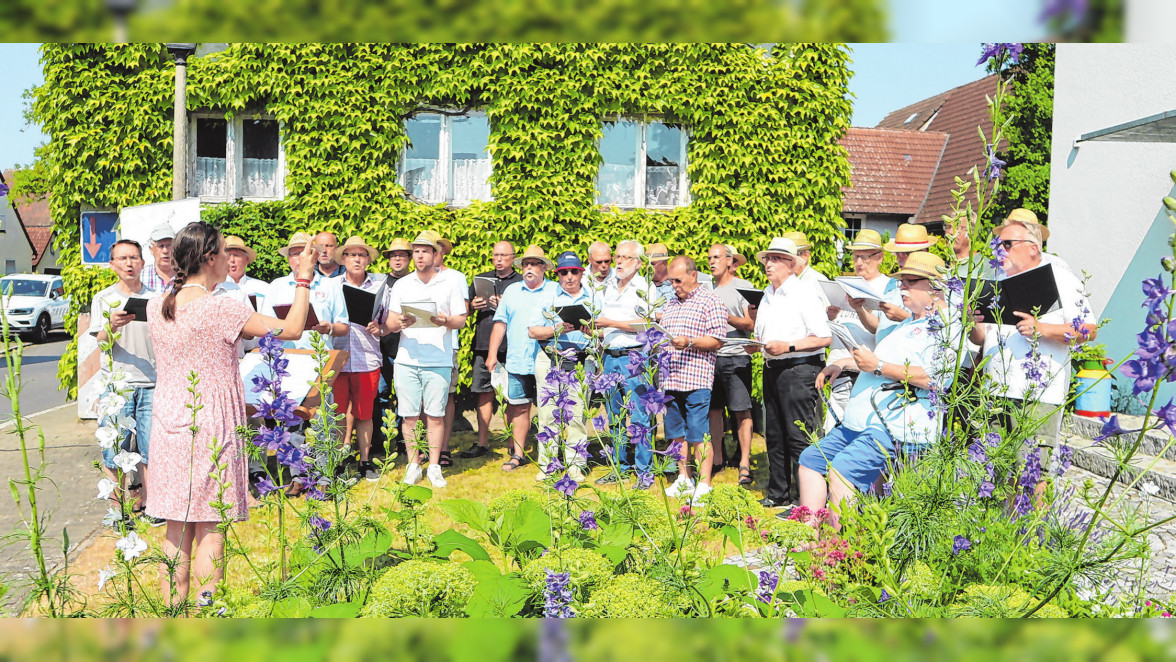 Johannimarkt in Dachsbach