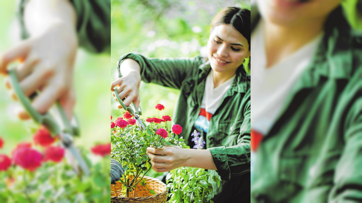 Wichtige Helfer für den Garten