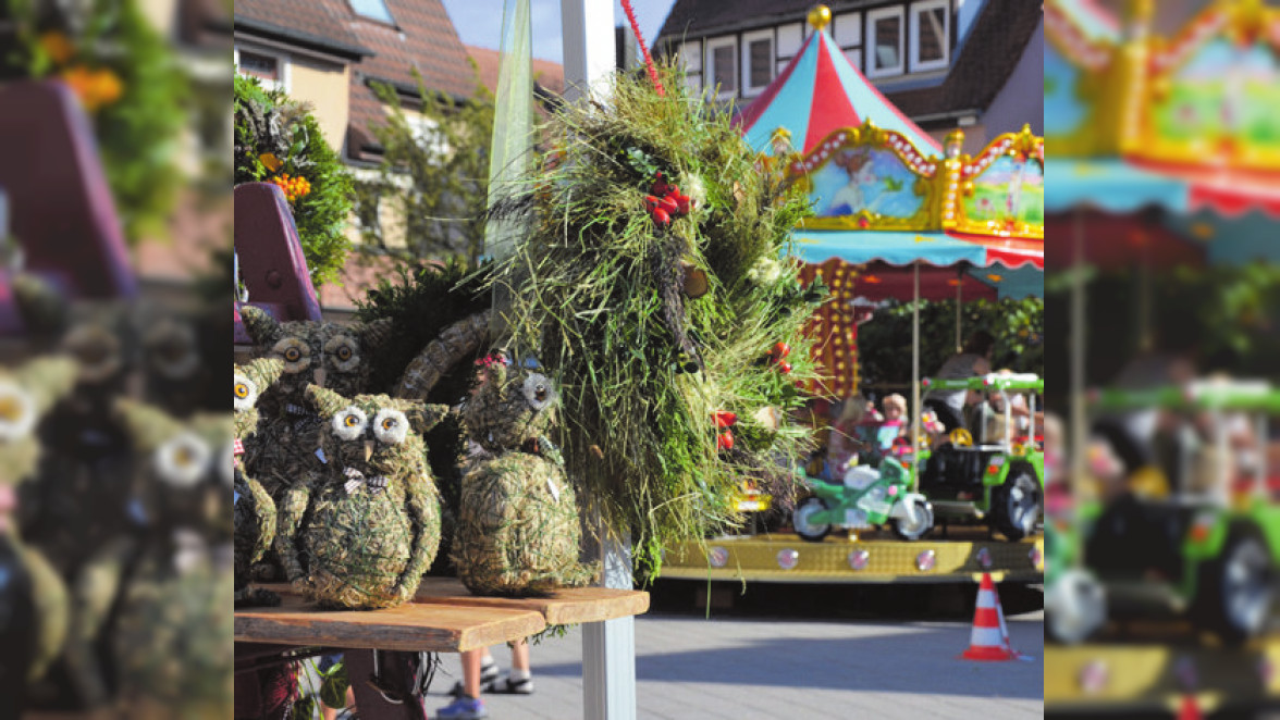 Marktmontag: Ein letztes Highlight bevor die kalte Jahreszeit beginnt