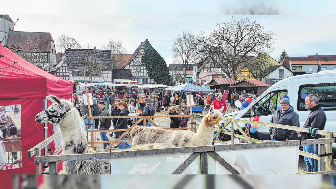 Frühlings- und Viehmarkt in Wettringen