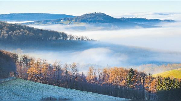 Raus in die Natur