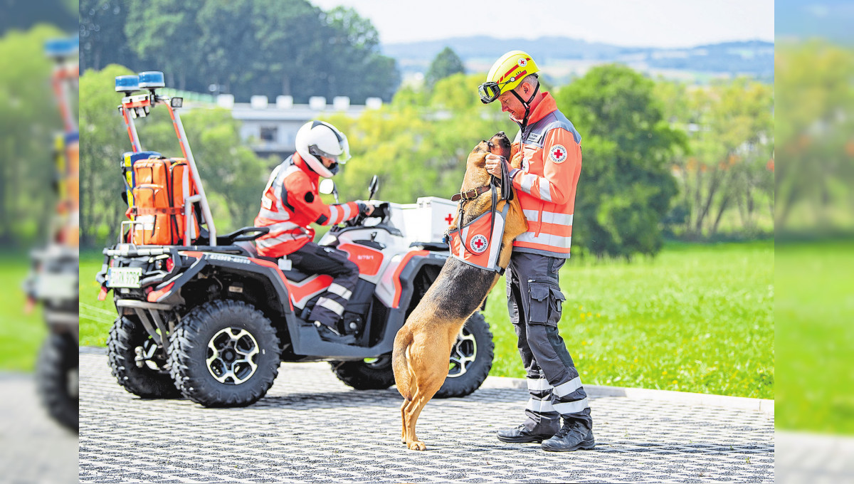 Rettungshundestaffel des Deutschen Roten Kreuzes helfen bei Vermisstensuche: Unsere Helden vor der Haustür