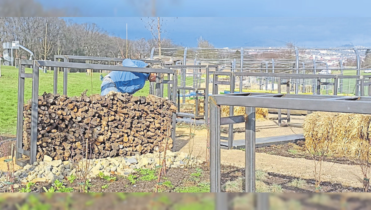 Landesgartenschau in Fulda: Lernen unter freiem Himmel