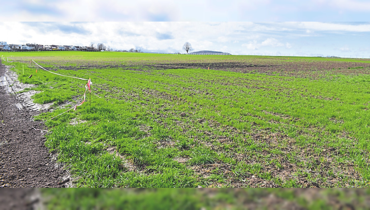 Pilotprojekt "Moderne Landwirtschaft" auf der Landesgartenschau in Fulda