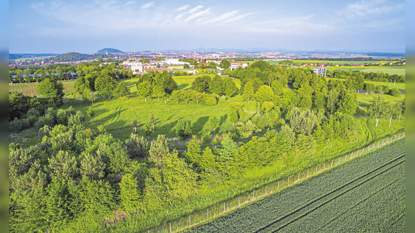 Das Münsterfeld - Stadtnah im Grünen