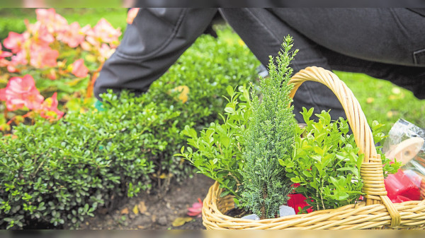 Viele Blüten, wenig Plastik