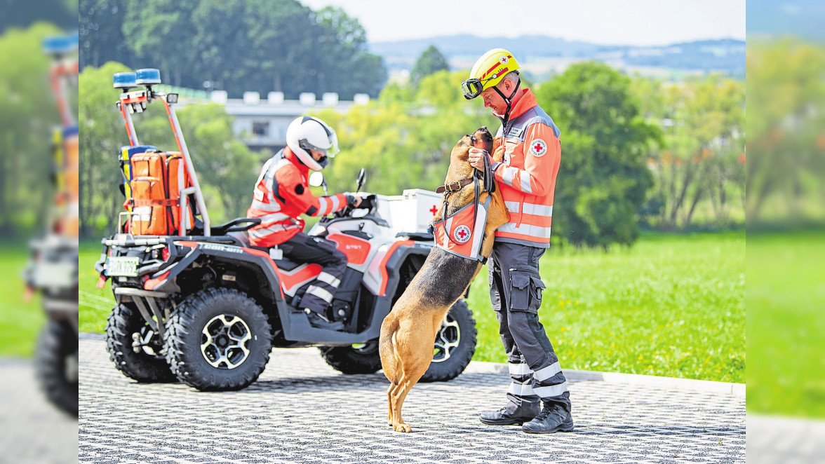 Rettungshundestaffel des Deutschen Roten Kreuzes helfen bei Vermisstensuche: Unsere Helden vor der Haustür