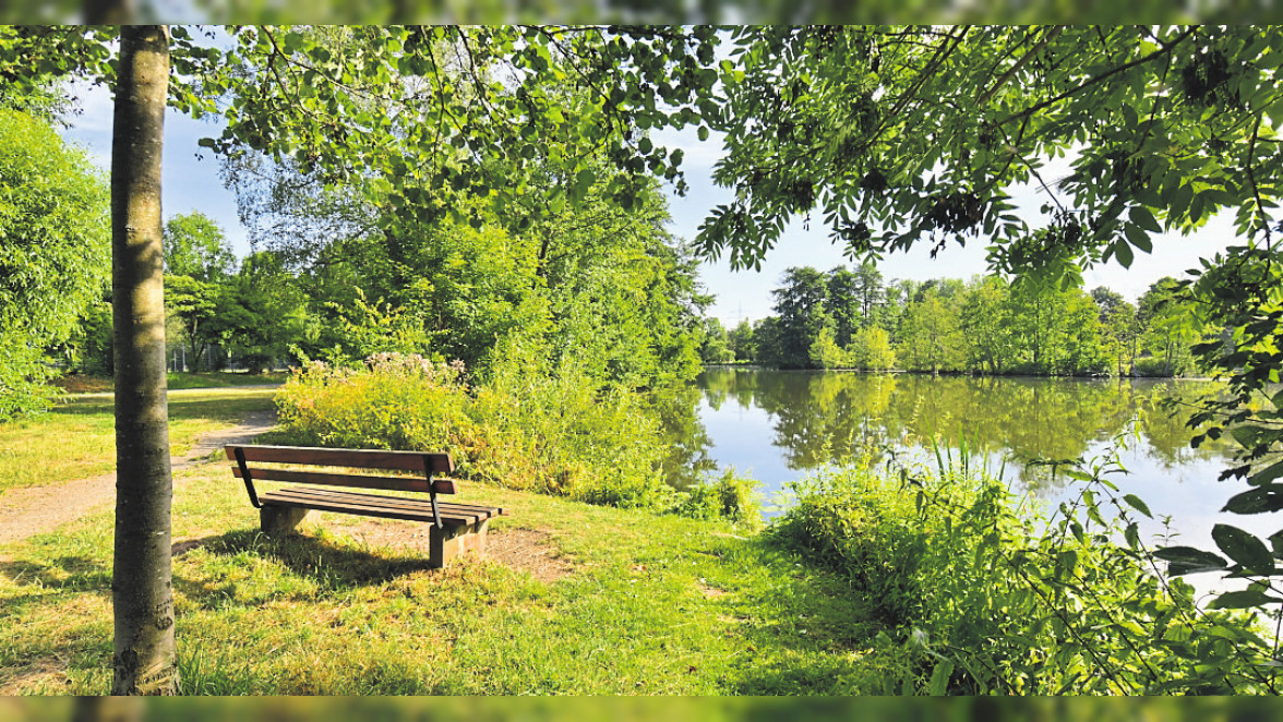 Wassergarten auf der Landesgartenschau Fulda dient der Erholung