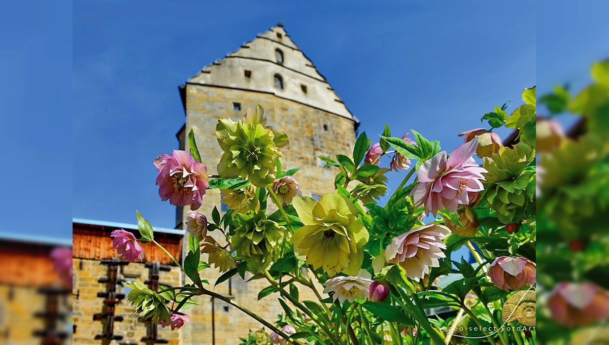 Frühlingsmarkt im Schloss Thurnau: Lenzrosen- und Ostermarkt