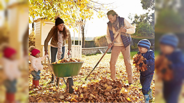 Herbstliche Gartenpflege