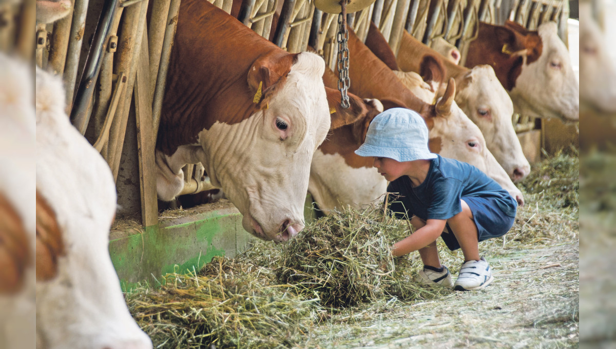 Der Bayerische Bauernverband: "Wir brauchen Landwirtschaft vor Ort"